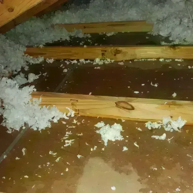 Attic Water Damage in Reform, AL